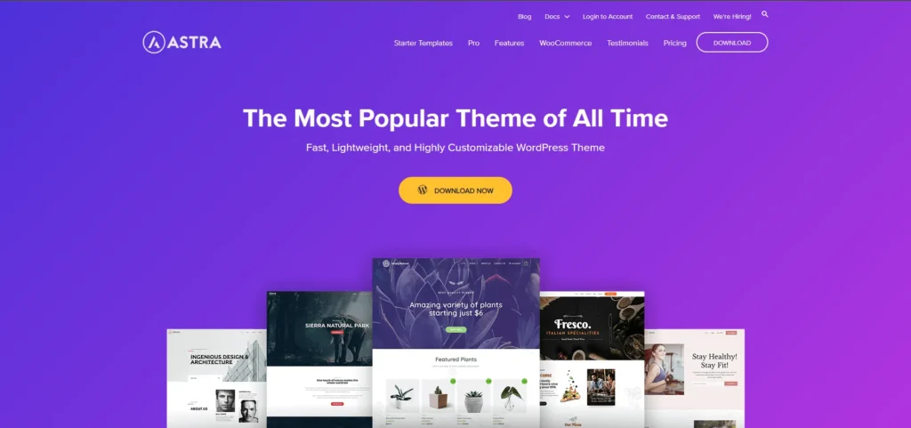 Top 6 WordPress Themes for 2024 1 Codezilla Astra Theme